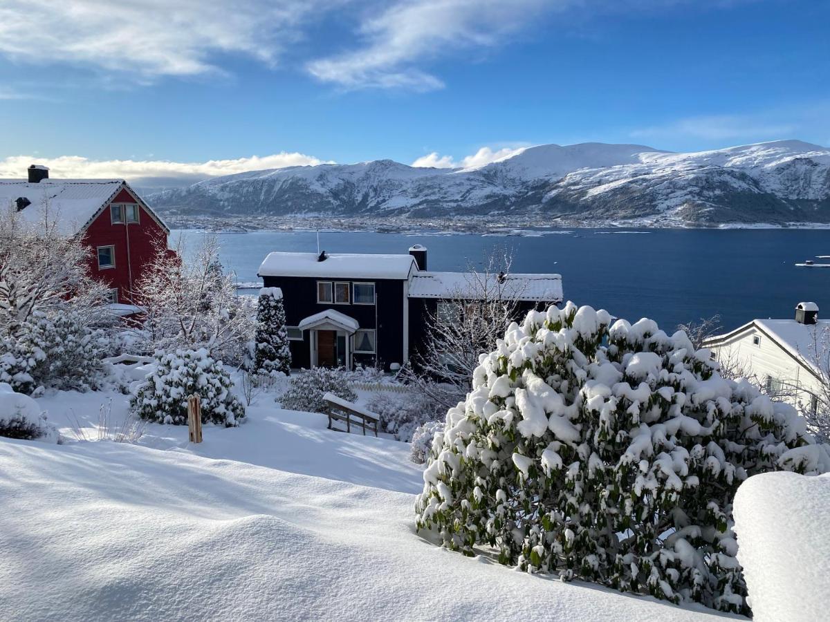Great Place With View To The Mountains And Fjord Олесунн Екстер'єр фото
